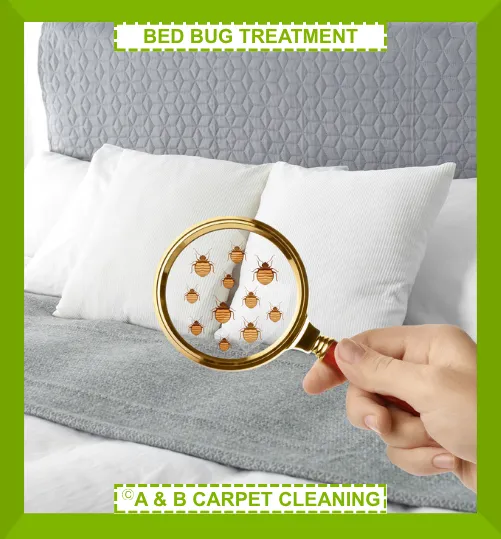 Bed Bug Treatment