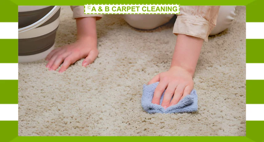 Best Carpet Maintenance Tips For Long Lasting Floors