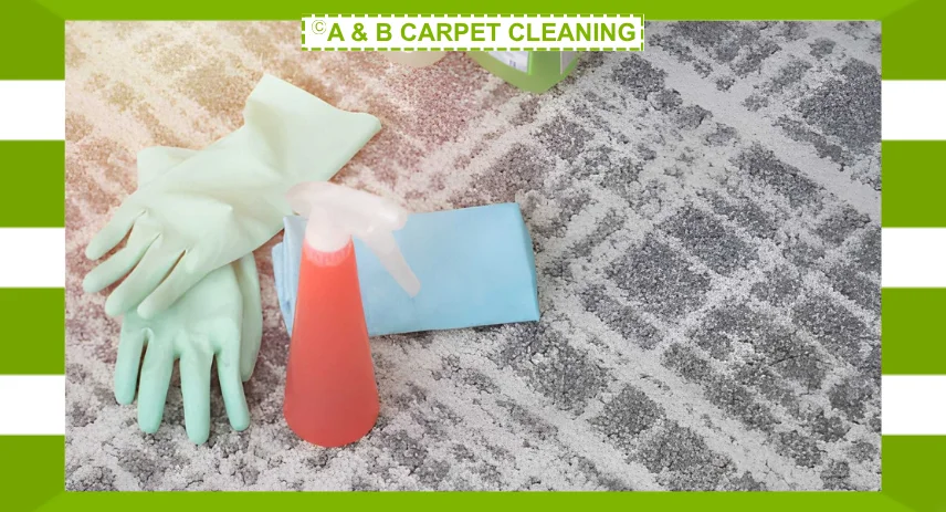 How Does Carpet Cleaning Reduce Allergies in Your Home